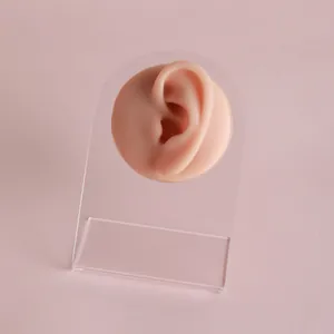Close-up of a realistic flesh-toned silicone ear model on a clear acrylic stand