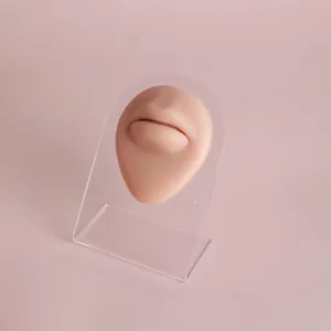 Close-up of a realistic silicone lip model for piercing practice on a clear acrylic stand