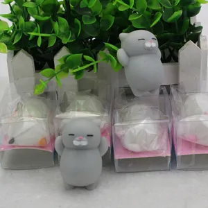 Close-up view of gray cat squishy toys showing both product and clear box packaging