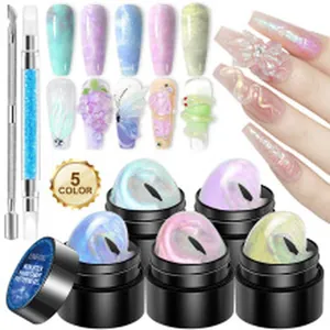 Kit gel per estensione unghie UV a 5 colori con strumenti di applicazione per nail art 3D prof