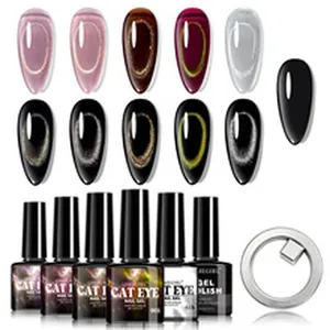 Vista dettagliata del set di smalto gel cat eye con punte colorate e strumento magnetico