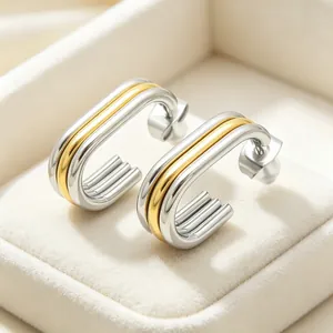 Close-up detail of stylish two-tone stainless steel oval multi-layer earrings in a box