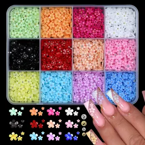 Professional 12-color resin flower charms kit with box for nail art DIY decoration