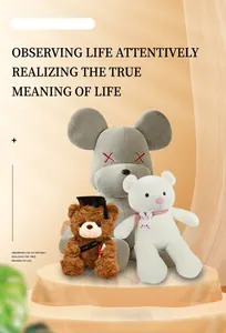 Close-up of assorted plush bears including graduation bear and creative grey bear