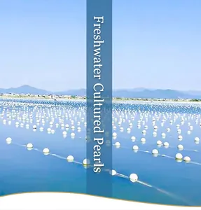 Panoramic view of a freshwater pearl farm with cultivation floats on the lake water surface