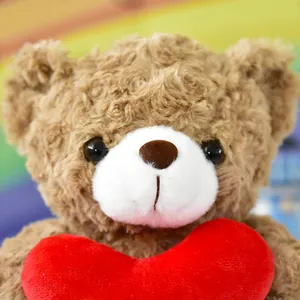 Dettaglio ravvicinato di un morbido orsetto di peluche marrone con un cuore rosso vivace.