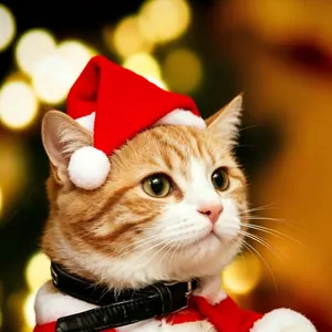 Christmas Pet Santa Hat Plush Fabric Red White With Elastic Strap Festive Headwear For Dogs Cats