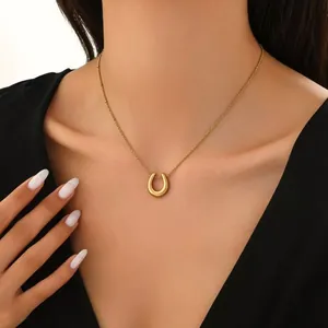 Collana con Pendente a Cuore a Ferro di Cavallo in Acciaio Inossidabile Minimalista Girocollo a Catena Sottile Placcato Oro per Gioielli da Donna