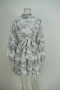 Elegant Toile de Jouy print long sleeve dress with waist tie and a pleated hemline