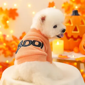Detail of orange knitted pet sweater with black BOO embroidery for Halloween