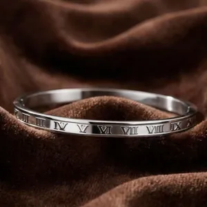 Silver titanium steel bracelet with Roman numeral engravings on brown velvet.