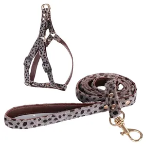 Stylish leopard print horsehair dog harness and leash set with gold hardware for pet