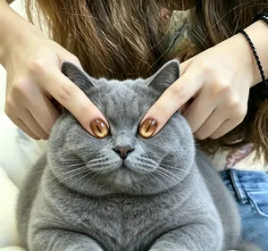 Détail macro d'élégants faux ongles en amande œil-de-chat marron avec une finition brillante