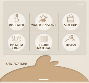 Infographic showing features of insulated lunch bag like waterproof material and 3D pattern