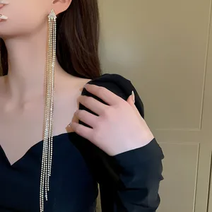 Detailed view of long rhinestone tassel earrings with silver needle on female model