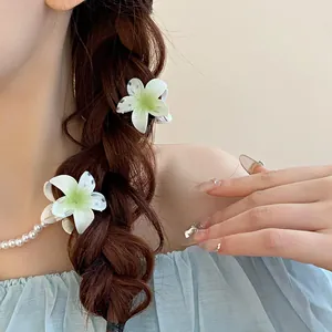 Vue détaillée de mini pinces à cheveux fleur blanche portées dans une tresse élégante