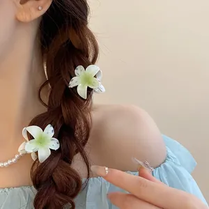Vue détaillée de deux élégantes mini-pinces à cheveux en forme de fleur blanche sur tresse