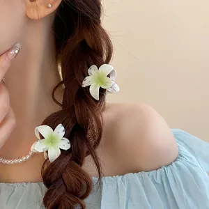 Gros plan de mini barrettes fleurs de lys blanc élégantes dans une tresse brune