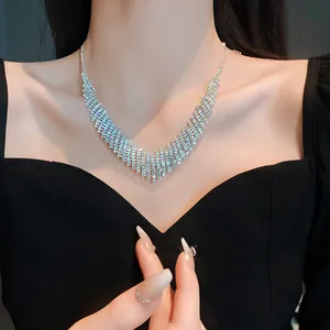 Elegant silver-tone diamond-encrusted fringe necklace set on model's neck