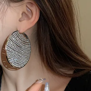 Close-up of silver-tone hoop earrings with shimmering pave zircon details.