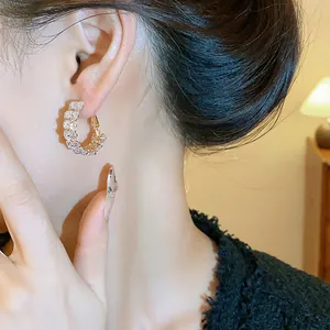 Detail view of elegant double-row zircon oval hoop earrings worn on a model's ear