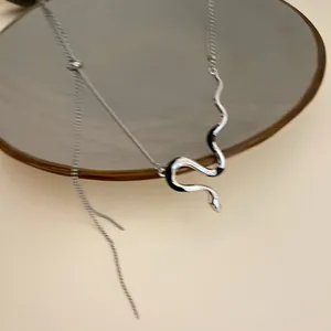 Close-up of a silver snake-shaped pendant necklace resting on a circular mirror surface