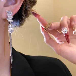 Orecchini raffinati in argento con zircone irregolare e lunghe nappe a catena