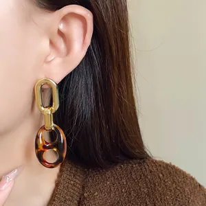 Close-up of vintage leopard print and gold chain link dangle earrings on female model.