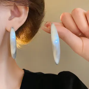 Détail rapproché de boucles d'oreilles créoles géométriques ovales en argent brossé