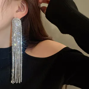 Exquisite lange silberne Strass-Quasten-Ohrringe, die in eleganten Details schimmern
