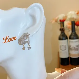 Eleganti orecchini a lobo in argento con stelle in zircone e design a triplo cerchio
