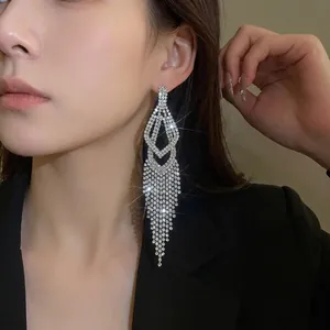 Elegante zilveren lange kwastjes oorbellen met fonkelende strassteentjes