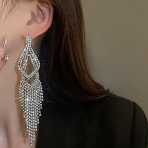 Gedetailleerd overzicht van lange elegante kwastjes oorbellen met strassteentjes