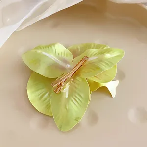 Détail d'une pince à cheveux orchidée Phalaenopsis élégante avec un fermoir doré brillant