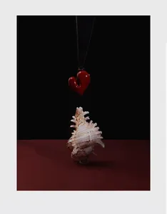Dettaglio di un ciondolo a cuore rosso lucido su cordoncino di cuoio sopra una conchiglia.