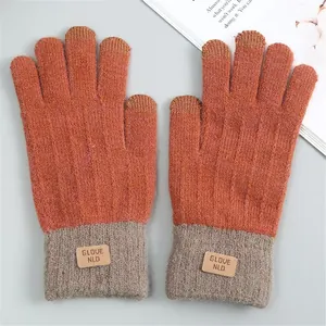 Pair of warm touchscreen knit gloves with imitation alpaca wool texture and tags.