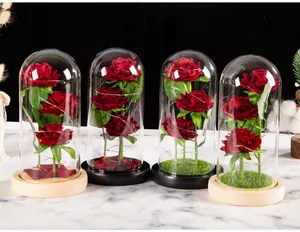Detail of eternal rose glass domes with LED lights and different base decorations