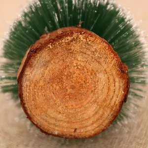 Macro view of a mini Christmas tree with a natural wood base showing tree rings.