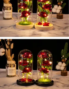 Enchanted red roses in a glass dome with warm LED lights and two base options.