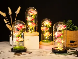 Elegant group of four pink artificial roses in glass domes with warm LED fairy lights