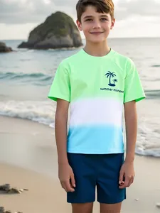 Boy's two-piece gradient swimwear with palm tree print, quick-dry short sleeves