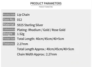 Detailed product specifications and parameters for S925 sterling silver necklace chain