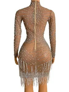 Back detail of sexy nude mesh mini dress with pearls, rhinestones, and silver fringe