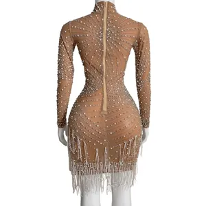 Sexy bodycon mesh stage performance dress with rhinestones and silver tassels back view