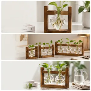 Details of creative wooden stand hydroponic glass bulb vases for desktop office decor