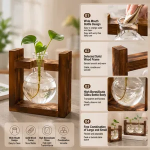 Detailed features of hydroponic glass vase with solid wood stand for desktop decor