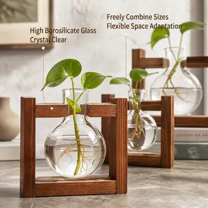Detail of a round glass hydroponic vase in a minimalist dark wood frame with green plants