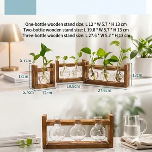 Hydroponic glass bulb vase dimensions for 1, 2, and 3-bottle wooden desktop stands