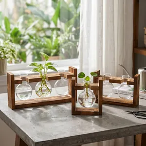 Minimalist wooden frame with glass bulb vases for creative hydroponic plant decor