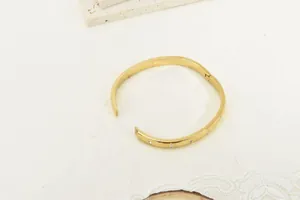 Elegant 18k gold plated stainless steel bangle bracelet with sparkling inlaid rhinestones.